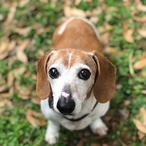 Meet your Posher, Efrain